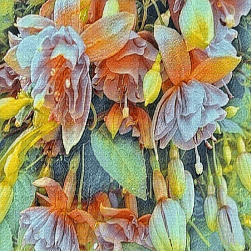 Fuchsia2 - png grátis