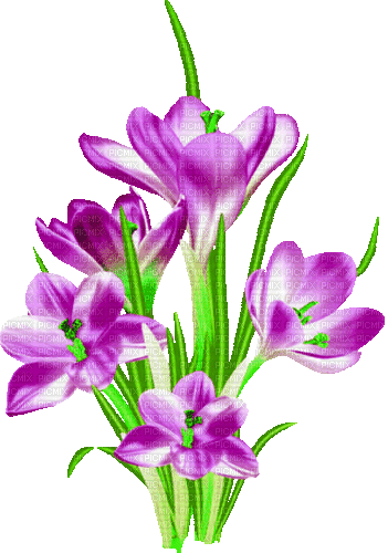 Animated.Flowers.Purple - By KittyKatLuv65 - GIF animé gratuit