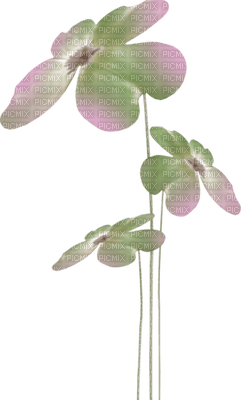 fleur - png grátis