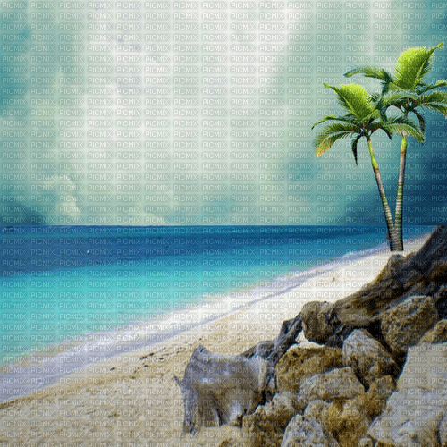 summer background by nataliplus - kostenlos png