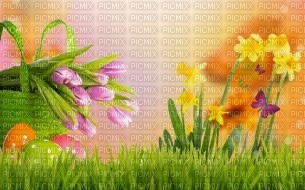 Kaz_Creations Backgrounds Background Easter - png ฟรี