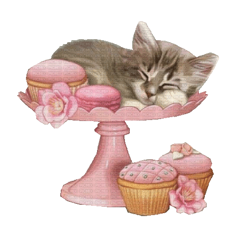 Katze, Cat, - 無料のアニメーション GIF
