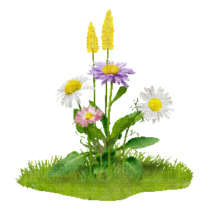 flower (created with gimp) - GIF animasi gratis