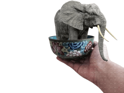 elephant elefant animal tube deco asia hand fantasy - фрее пнг