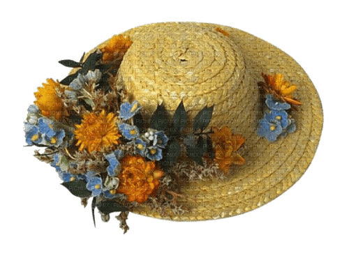 Chapeau.Hat.Sombrero.Fleurs.Victoriabea - png gratuito
