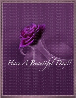 text fleur rose fond image purple - 免费PNG