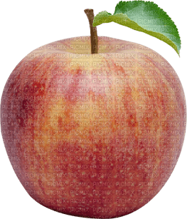 pomme - δωρεάν png