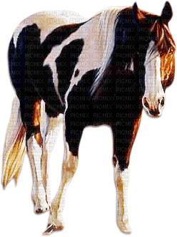 soave animals horse deco brown - PNG gratuit