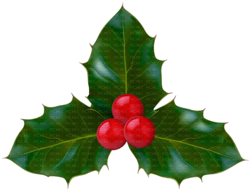 Christmas Mistletoe - PNG gratuit