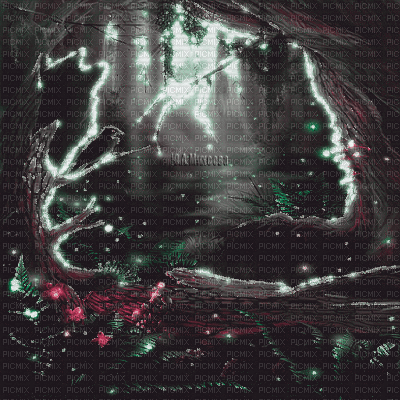 Y.A.M._Fantasy forest background - 無料のアニメーション GIF