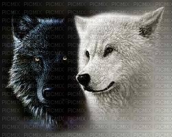 wolf bp - png grátis