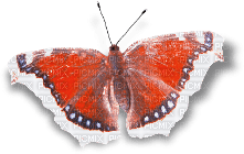 soave deco butterfly scrap brown orange - gratis png