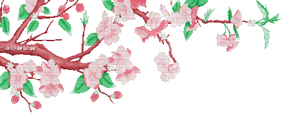 soave deco branch flowers animated tree spring - 免费动画 GIF