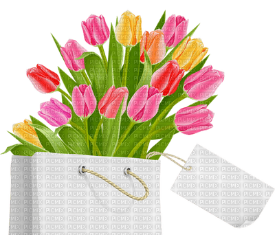 Kaz_Creations Spring Flowers - zdarma png
