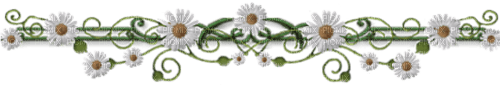 vintage border deco  daisies daisy flowers - zdarma png