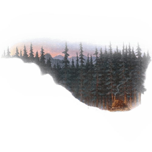 Landschaft, Wald, Landscape, Forest - 免费PNG