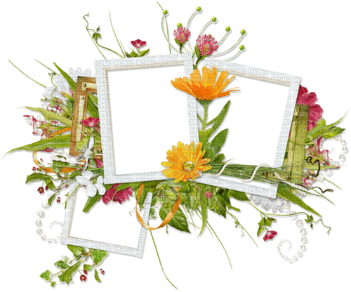 Flower frame 🏵asuna.yuuki🏵 - 免费PNG
