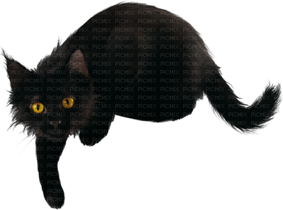 Black Cat Png Hd - Imagenes De Gatos Animados PNG Transparent With