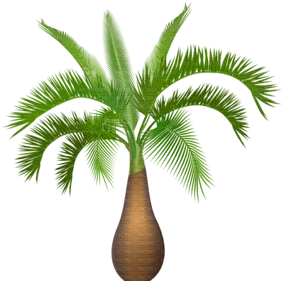Palmtree - kostenlos png