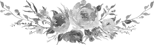 MMarcia flores aquarela fleurs aquarelle - 免费PNG