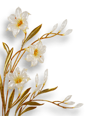 fleur blanche.Cheyenne63 - gratis png