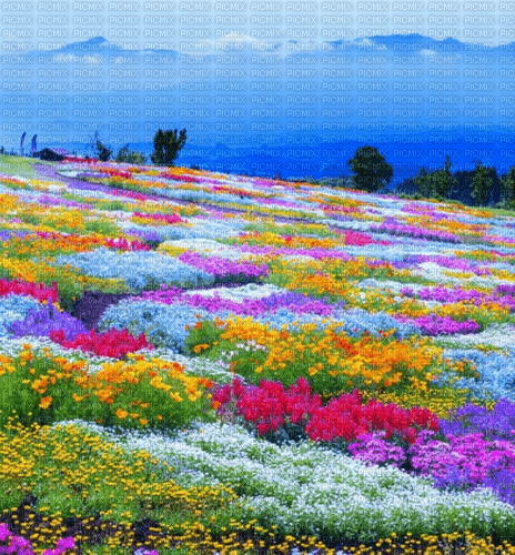 Rena Japan Spring Background Hintergrund - png gratis