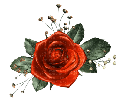 red rose by nataliplus - Free PNG