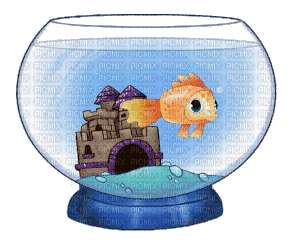fish fisch poisson glass - Zdarma animovaný GIF