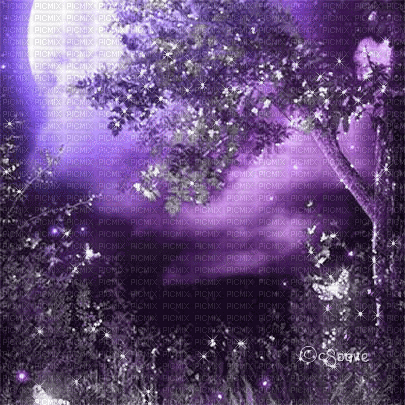 soave background animated forest night purple - GIF animé gratuit
