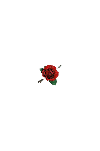red rose - бесплатно png