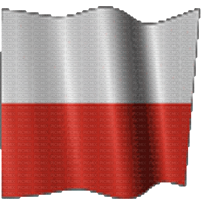 Flaga poland - Ingyenes animált GIF