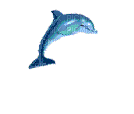 golfinho gif-l - GIF animado grátis