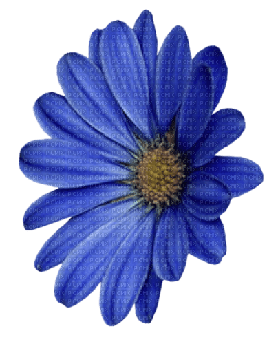 blue flower 4 - gratis png