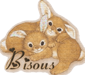 bisous les lapins - GIF animé gratuit