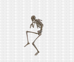 squelette - GIF animado grátis