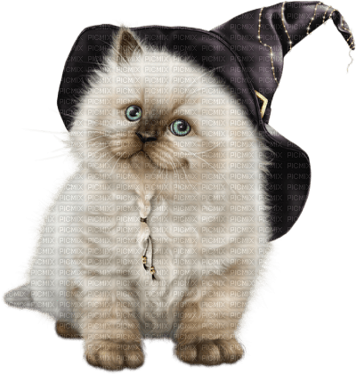 halloween cat by nataliplus - png ฟรี