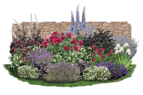 flower plant garden - 免费PNG
