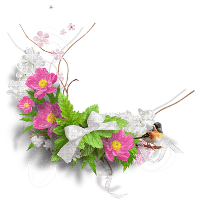 Kaz_Creations Flowers Flower Deco Bird - zdarma png