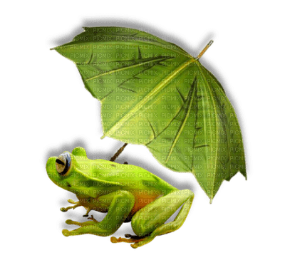 Kaz_Creations Frogs Frog - ücretsiz png