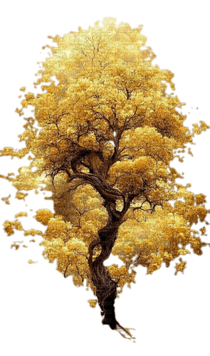 arbre - фрее пнг