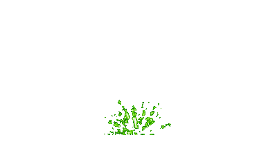 Firework, Fireworks, Deco, Decoration, Holiday, Happy New Year, 4th, Fourth Of July, Green, Gif - Jitter.Bug.Girl - 免费动画 GIF