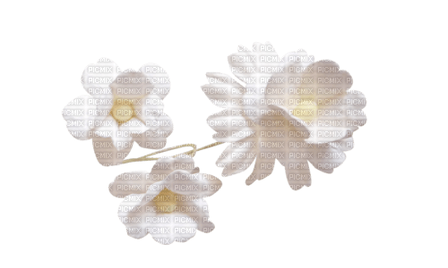 flores transparentes dubravka4 - PNG gratuit
