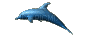 dolphin - Zdarma animovaný GIF