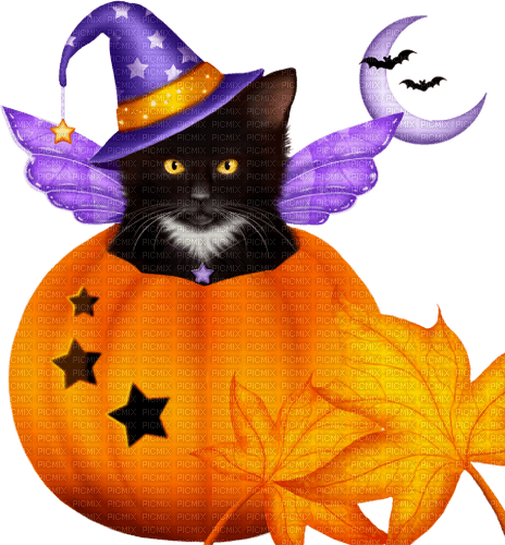 Kitten.Fairy.Halloween.Purple.Orange.Black - nemokama png