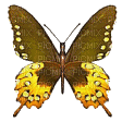 papillon - Free animated GIF