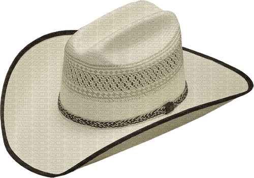 Cowboy hat - kostenlos png