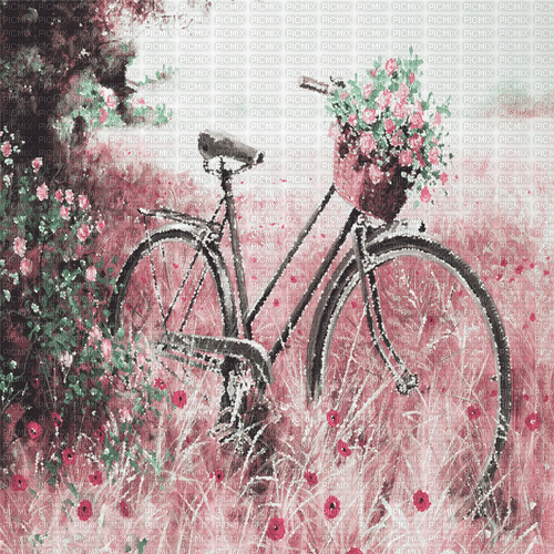 fahrrad milla1959 - Free animated GIF