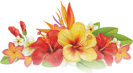 soave deco  flowers yellow green red - Free PNG