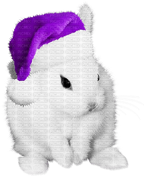 soave christmas winter bunny animals deco - png gratuito