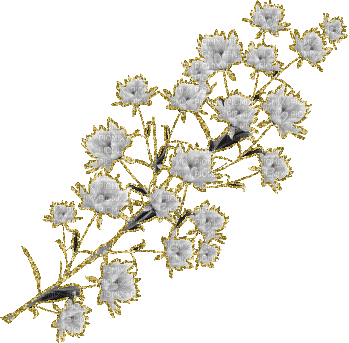 Vanessa Valo _crea= white flower glitter - 免费动画 GIF